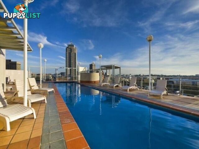 1010/28 Harbour Street SYDNEY NSW 2000