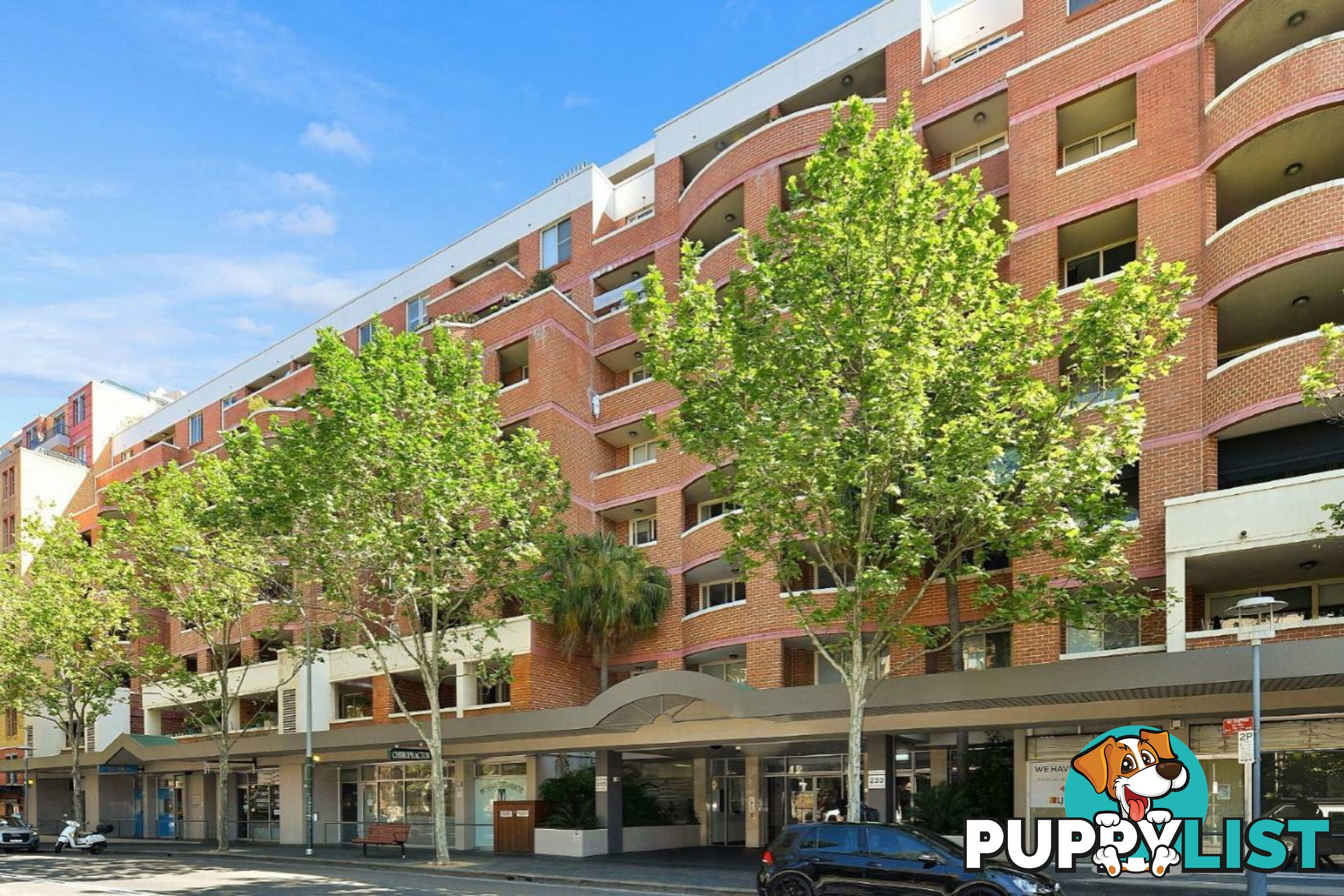 N207/233 Harris Street PYRMONT NSW 2009