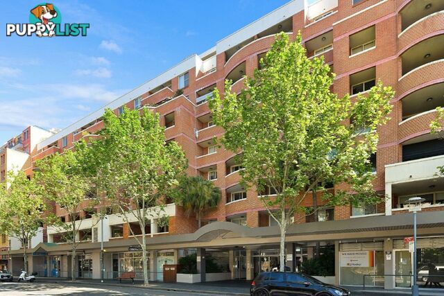 N207/233 Harris Street PYRMONT NSW 2009