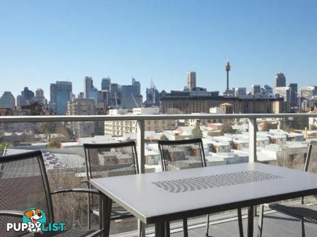 45 Bowman Street PYRMONT NSW 2009