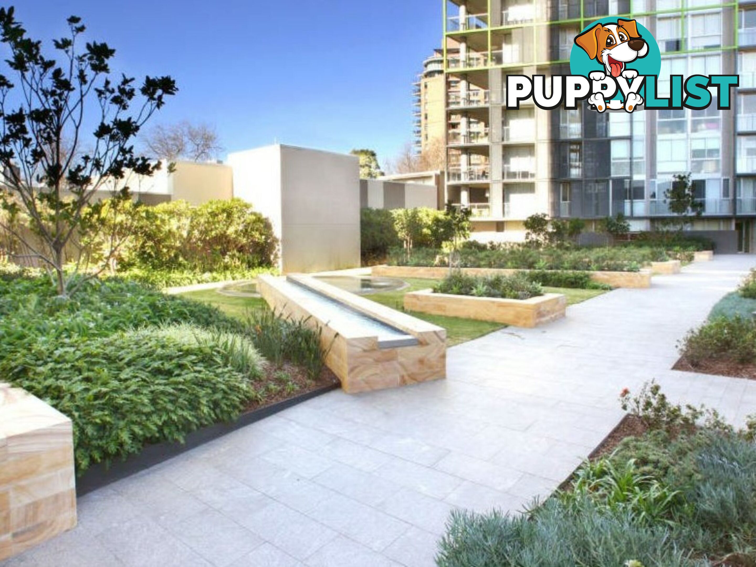 45 Bowman Street PYRMONT NSW 2009