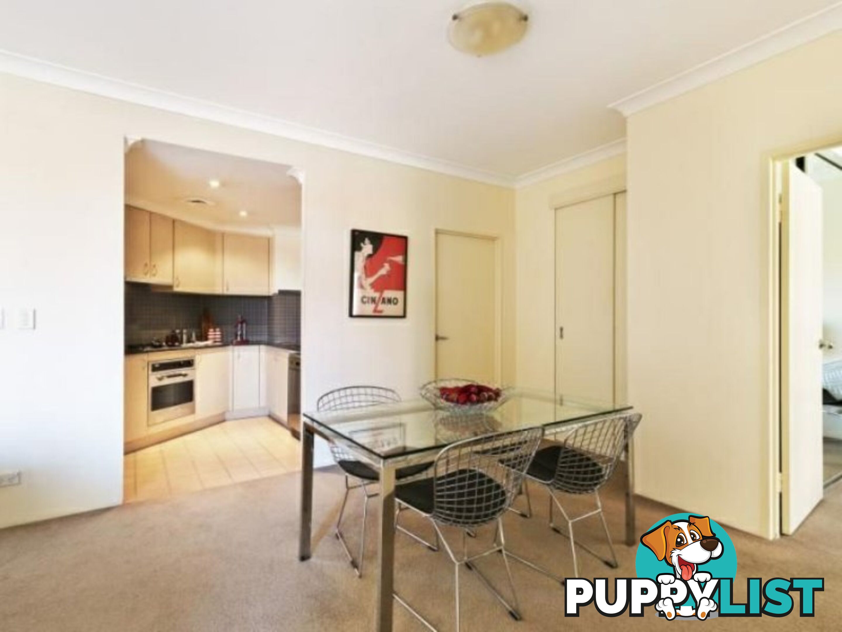 21/2 Bunn Street PYRMONT NSW 2009