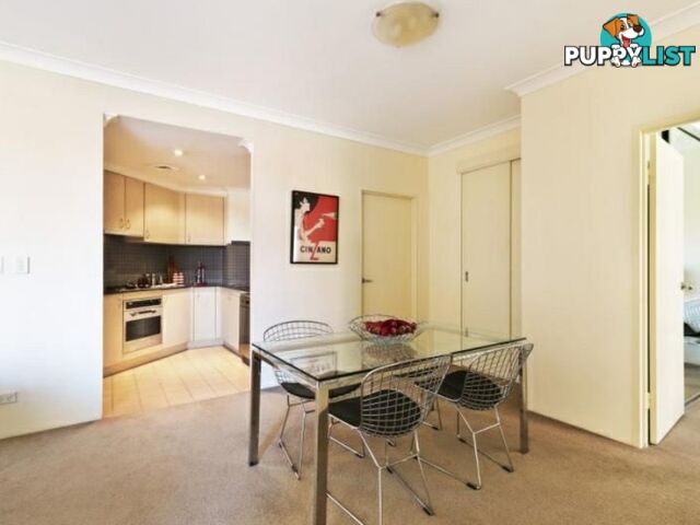 21/2 Bunn Street PYRMONT NSW 2009