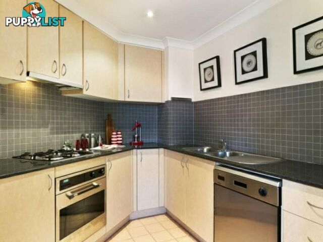 21/2 Bunn Street PYRMONT NSW 2009