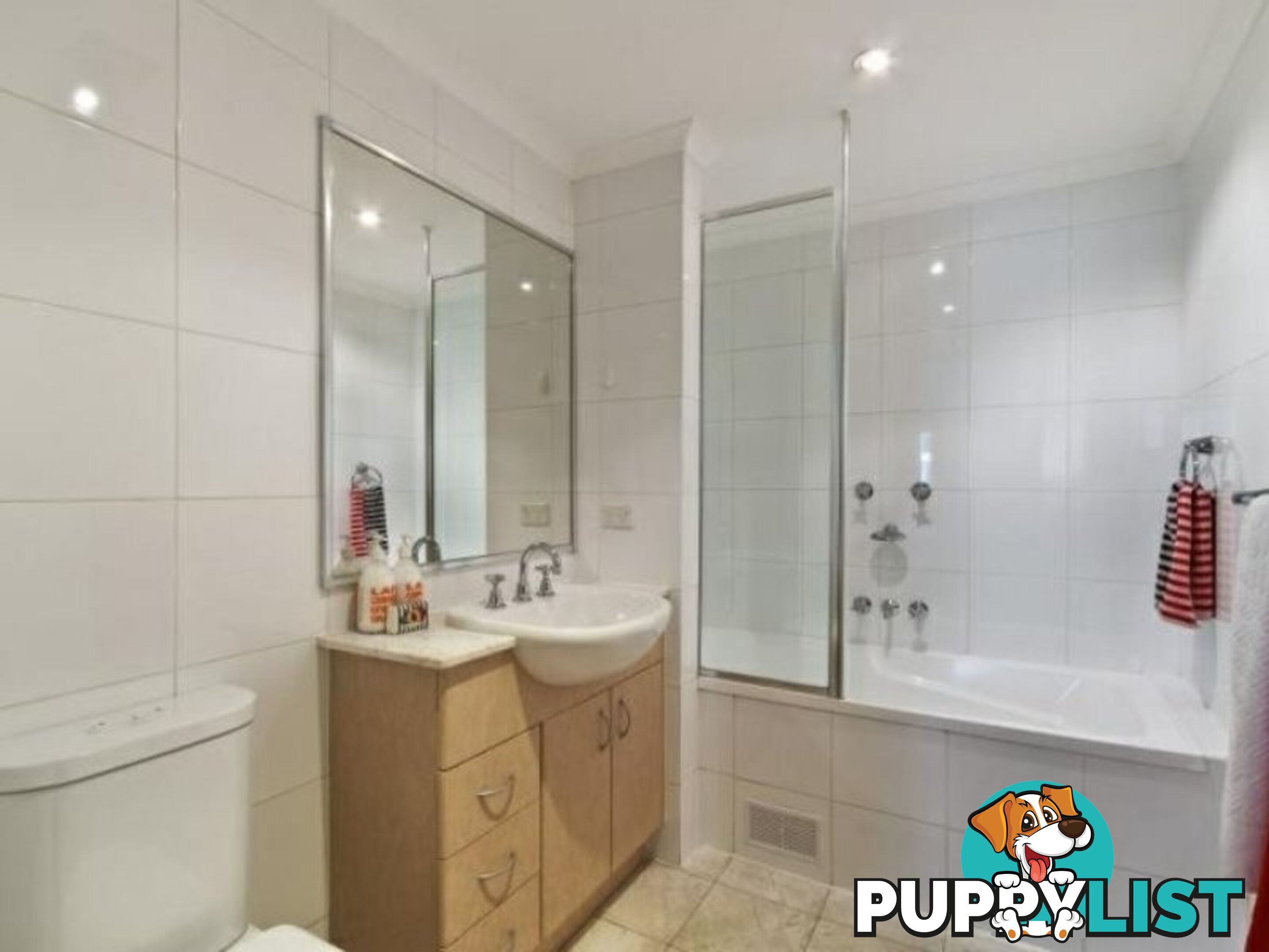 21/2 Bunn Street PYRMONT NSW 2009