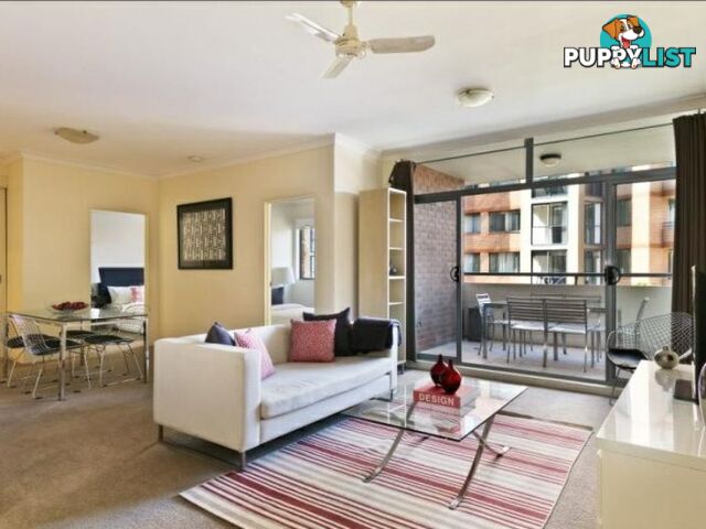 21/2 Bunn Street PYRMONT NSW 2009