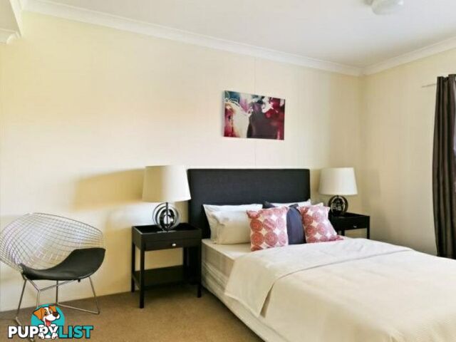 21/2 Bunn Street PYRMONT NSW 2009