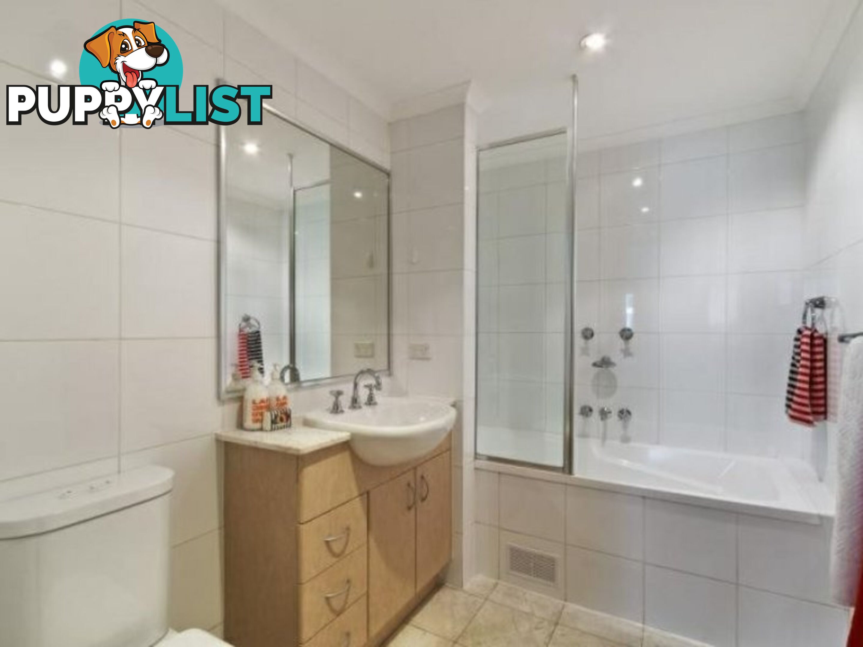 21/2 Bunn Street PYRMONT NSW 2009