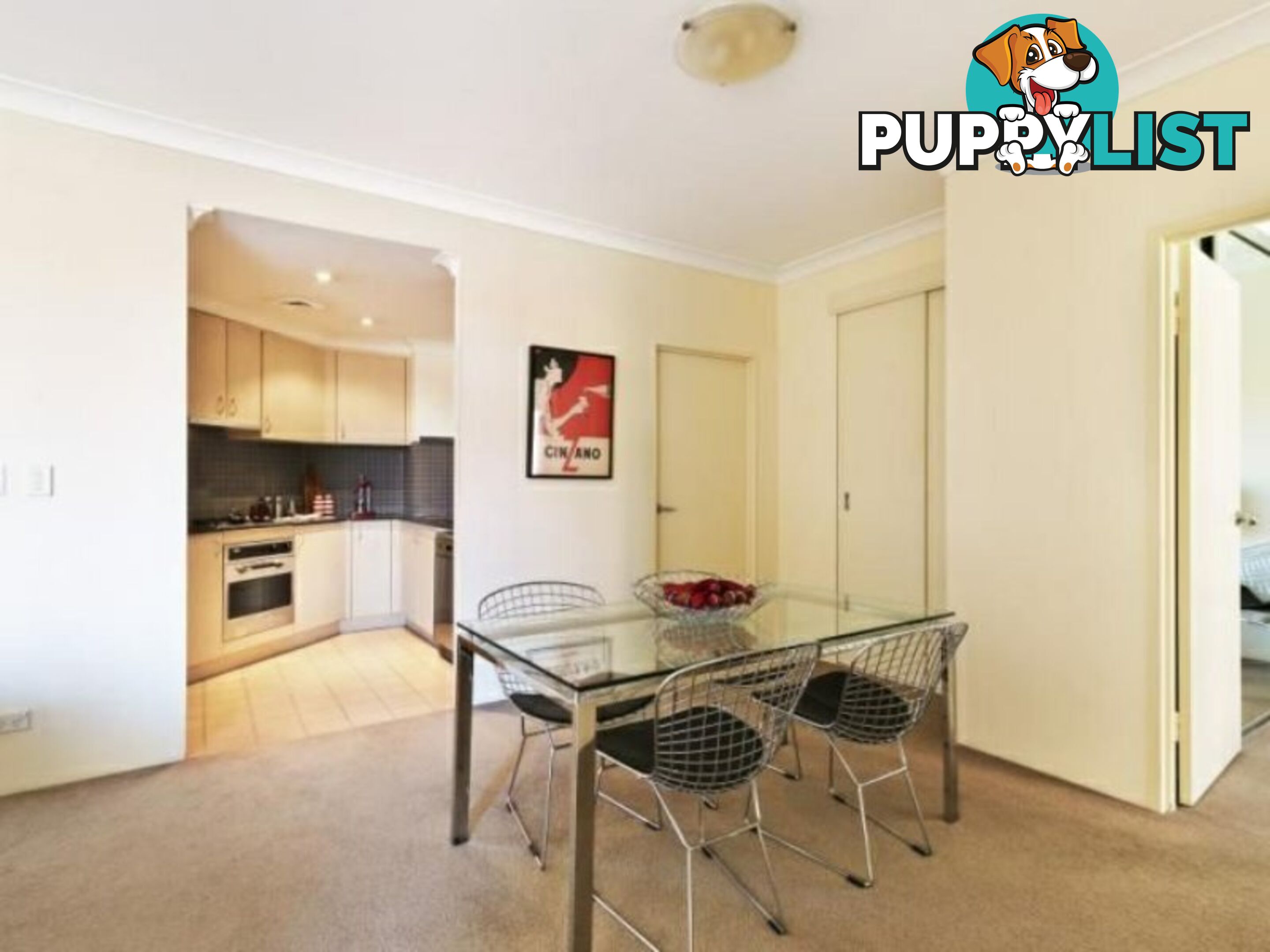 21/2 Bunn Street PYRMONT NSW 2009