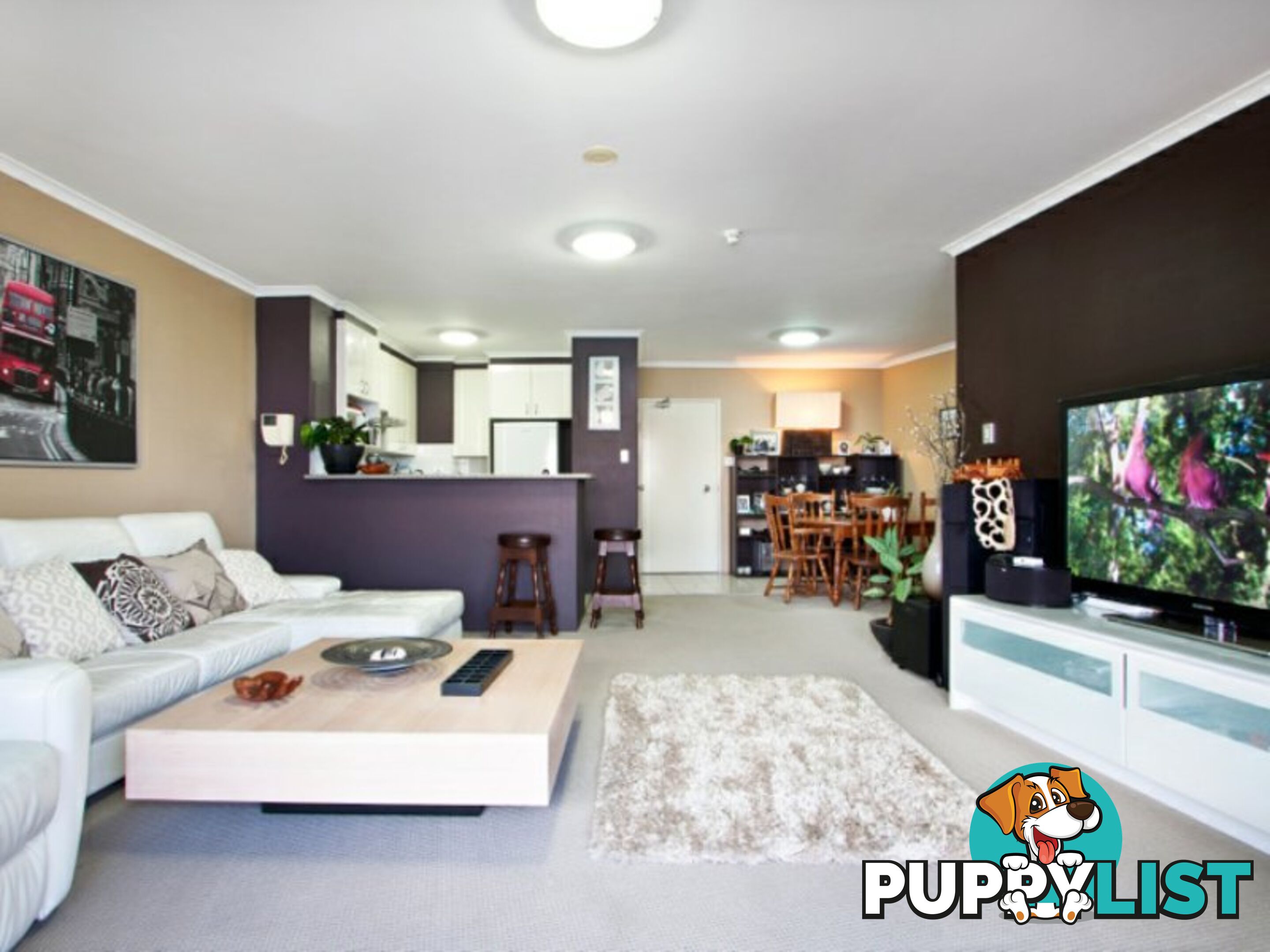 122 Saunders Street PYRMONT NSW 2009