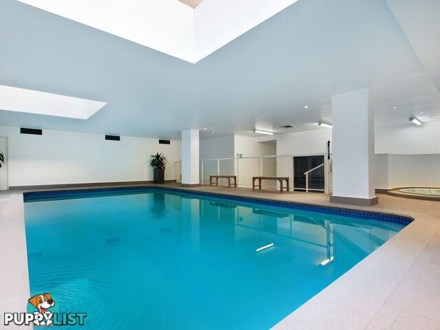T7/233 Harris Street PYRMONT NSW 2009