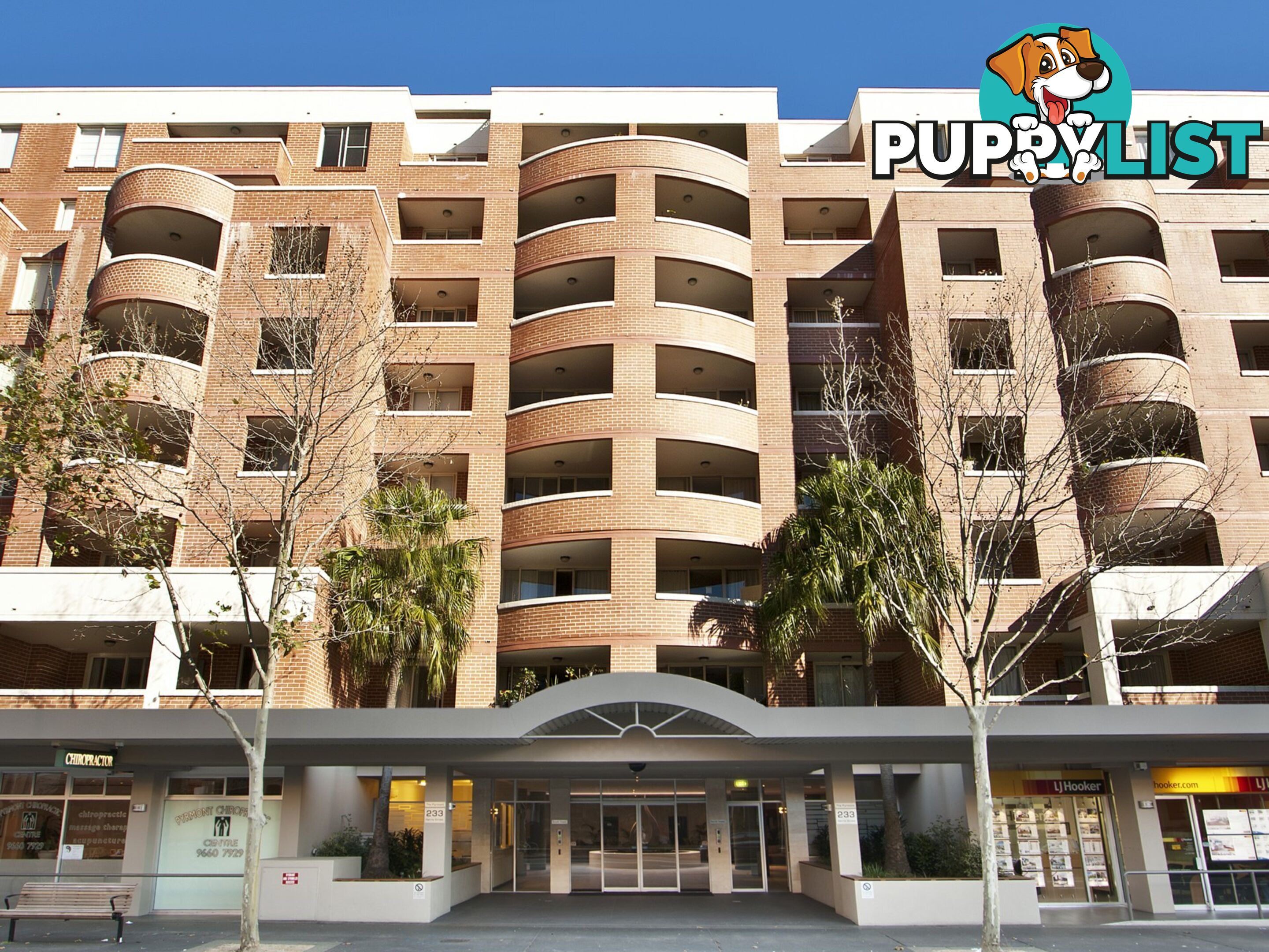 T7/233 Harris Street PYRMONT NSW 2009