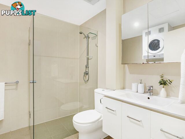 T7/233 Harris Street PYRMONT NSW 2009