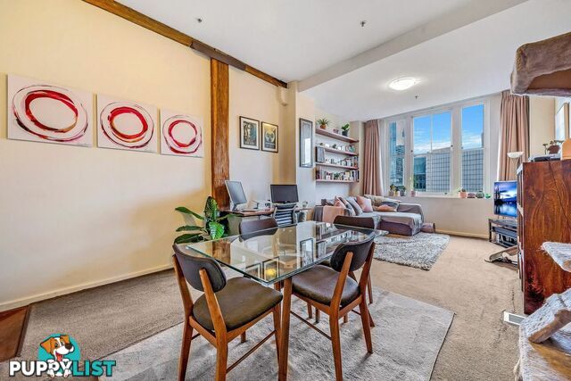 538 243 Pyrmont Street PYRMONT NSW 2009