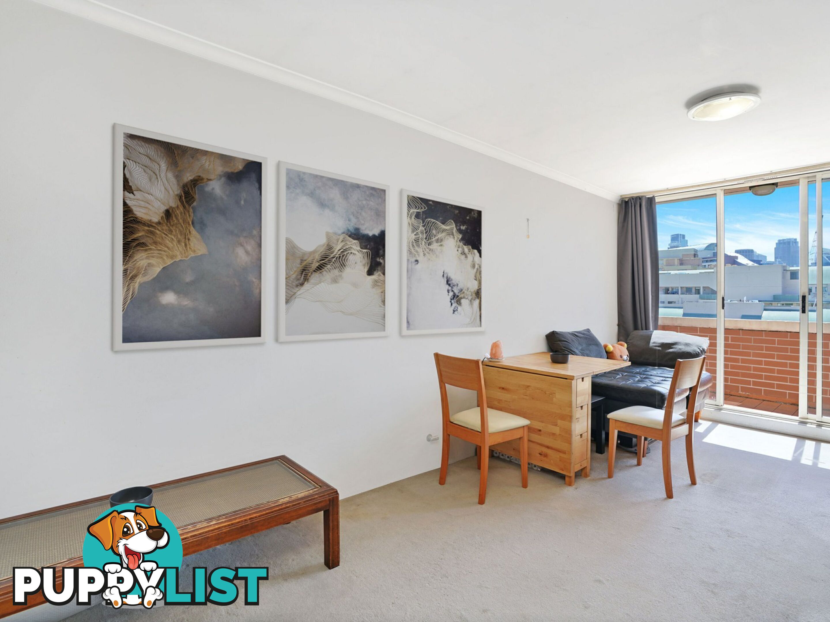 N702/233 Harris Street PYRMONT NSW 2009