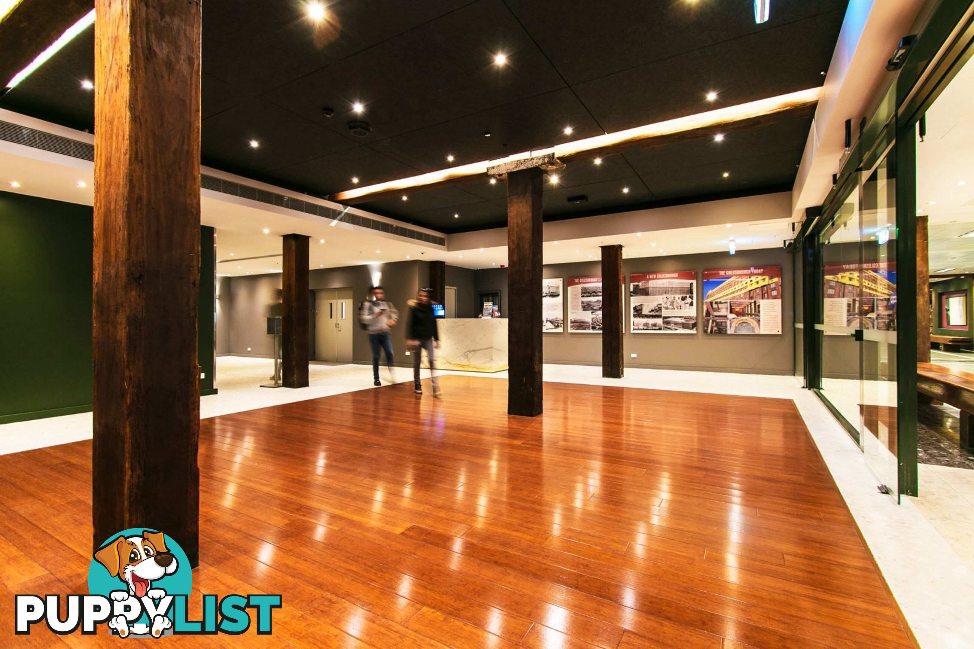 843/243 Pyrmont PYRMONT NSW 2009