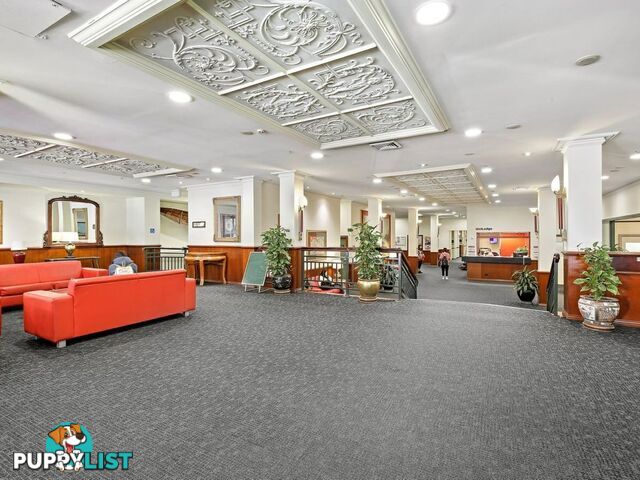 2117/185 Broadway ULTIMO NSW 2007