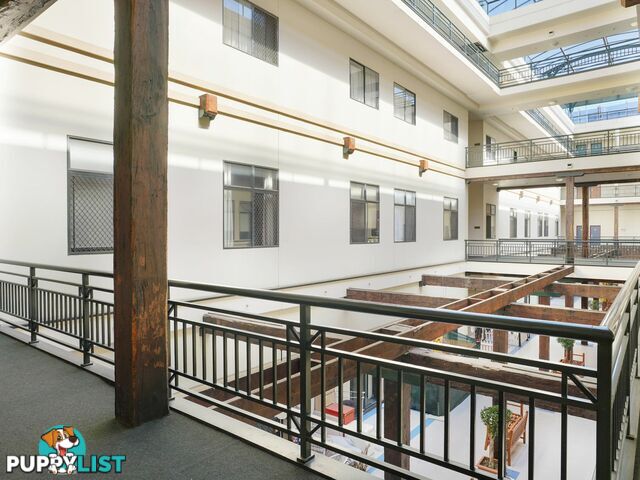 2117/185 Broadway ULTIMO NSW 2007