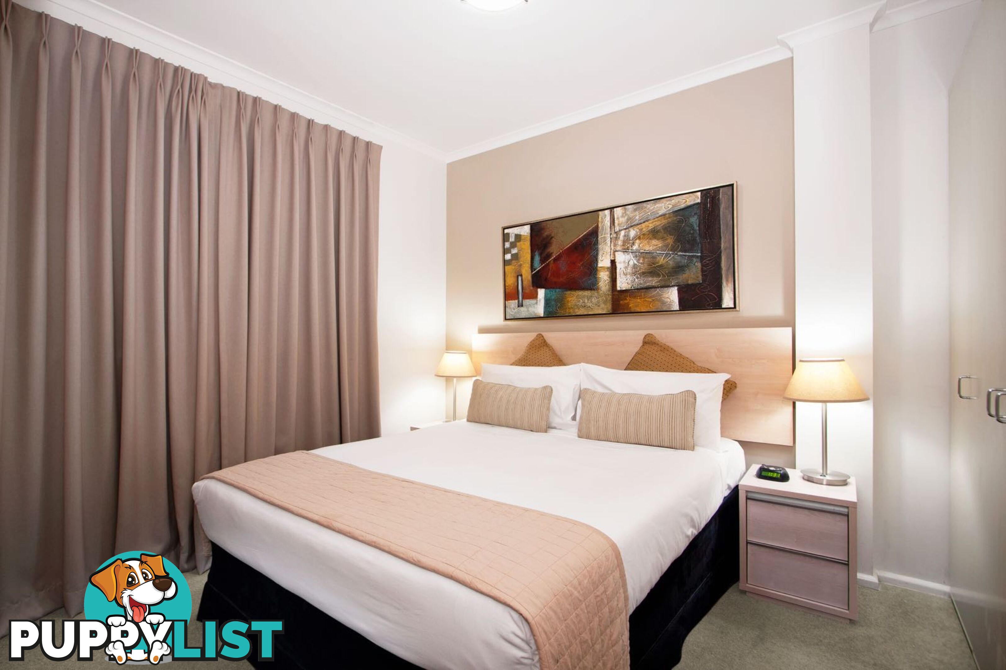 1119/243 Pyrmont Street PYRMONT NSW 2009