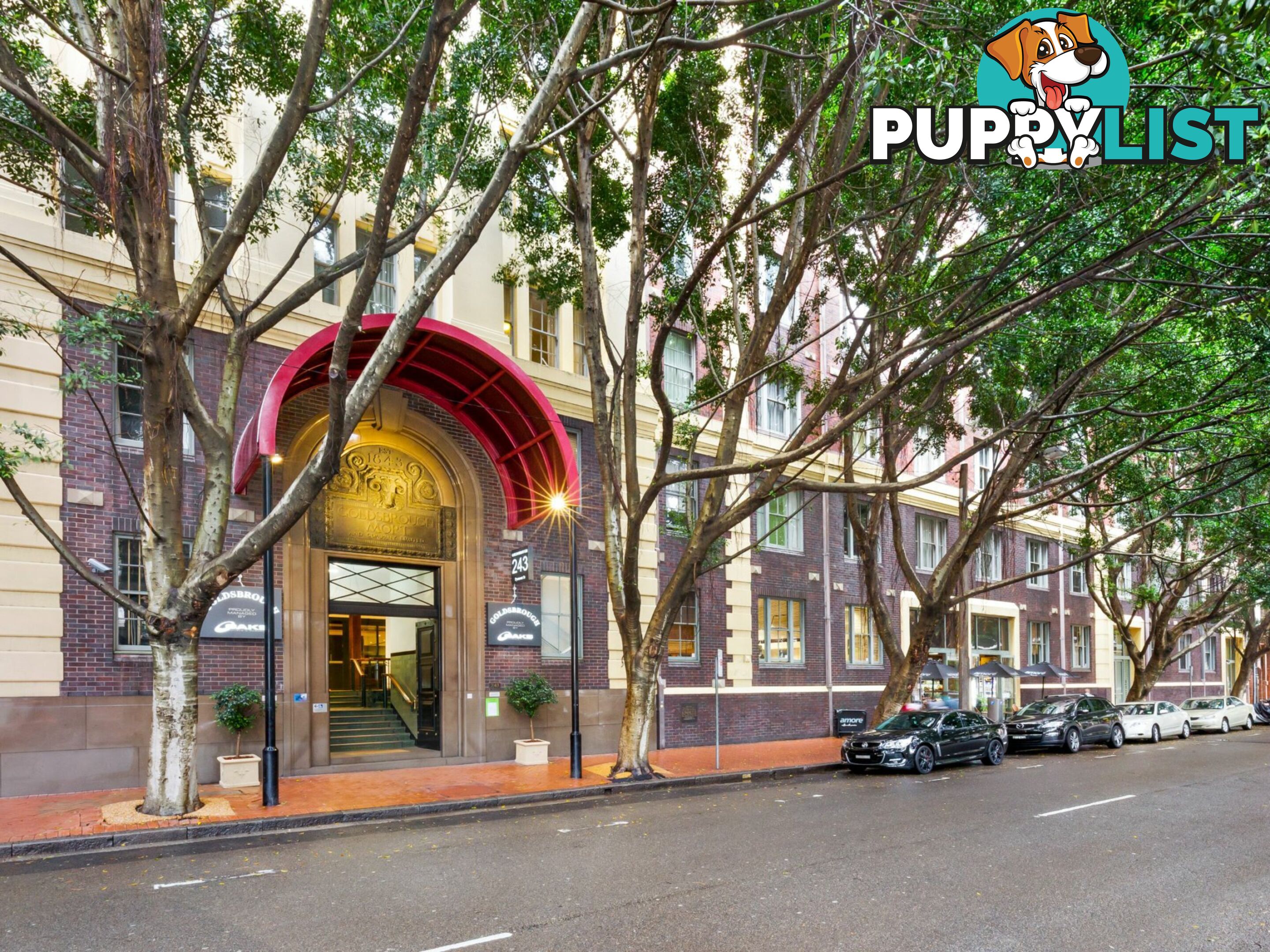 856/243 Pyrmont St PYRMONT NSW 2009