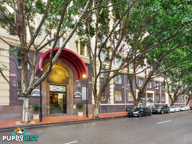 856/243 Pyrmont St PYRMONT NSW 2009