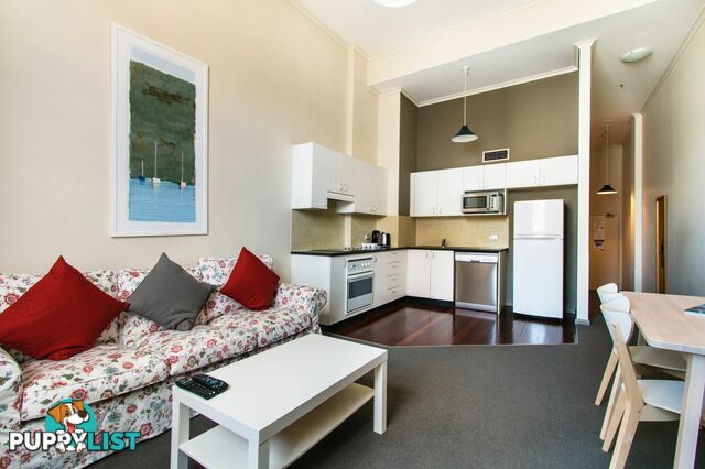 856/243 Pyrmont St PYRMONT NSW 2009