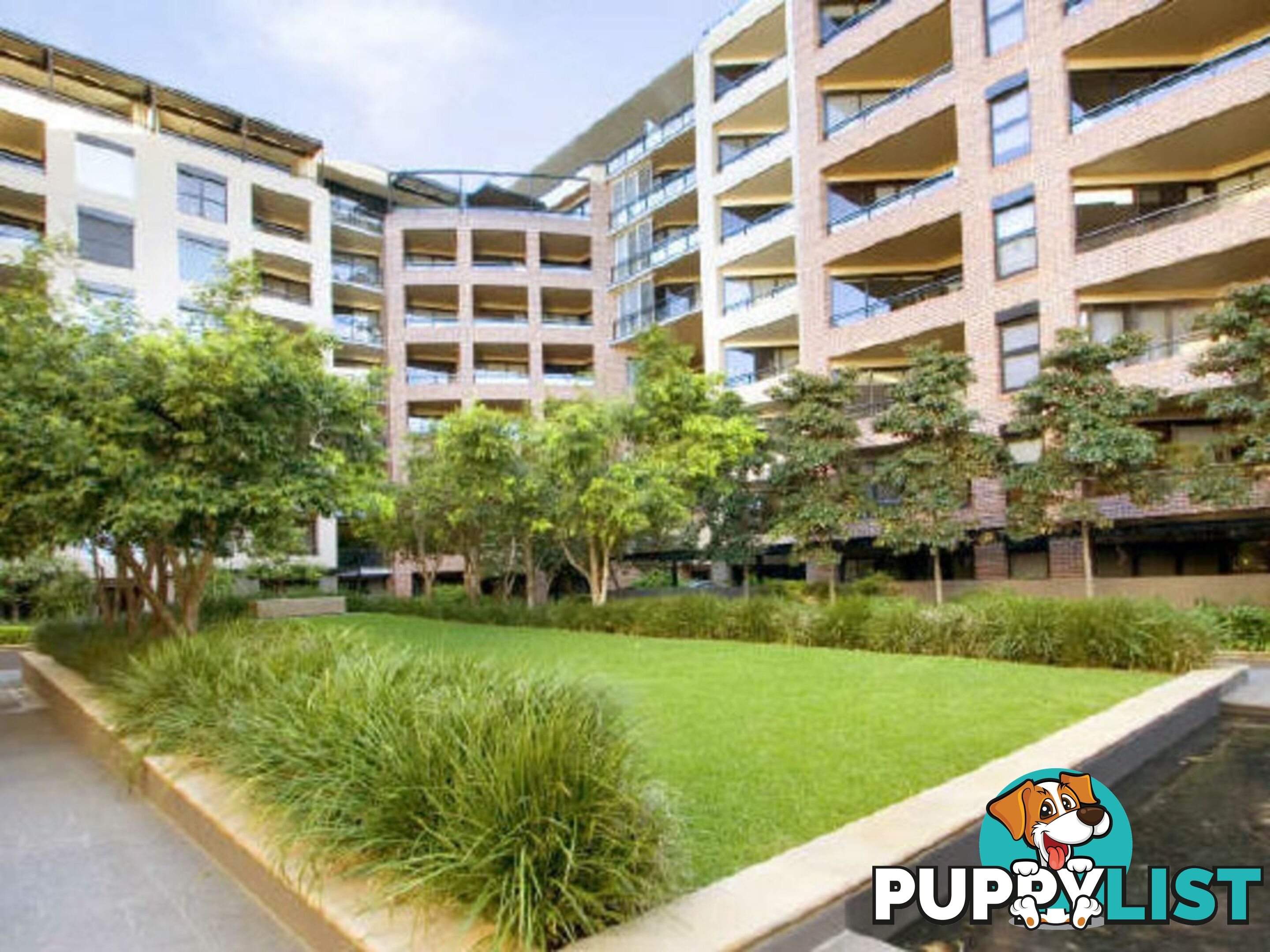 305/2 Jones Bay Road PYRMONT NSW 2009