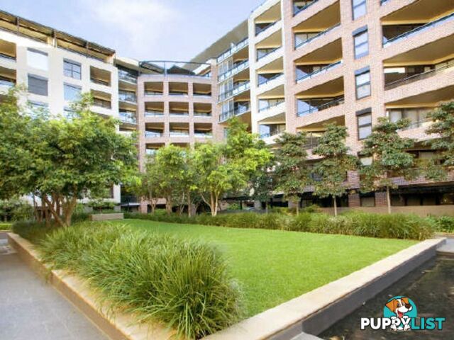 305/2 Jones Bay Road PYRMONT NSW 2009