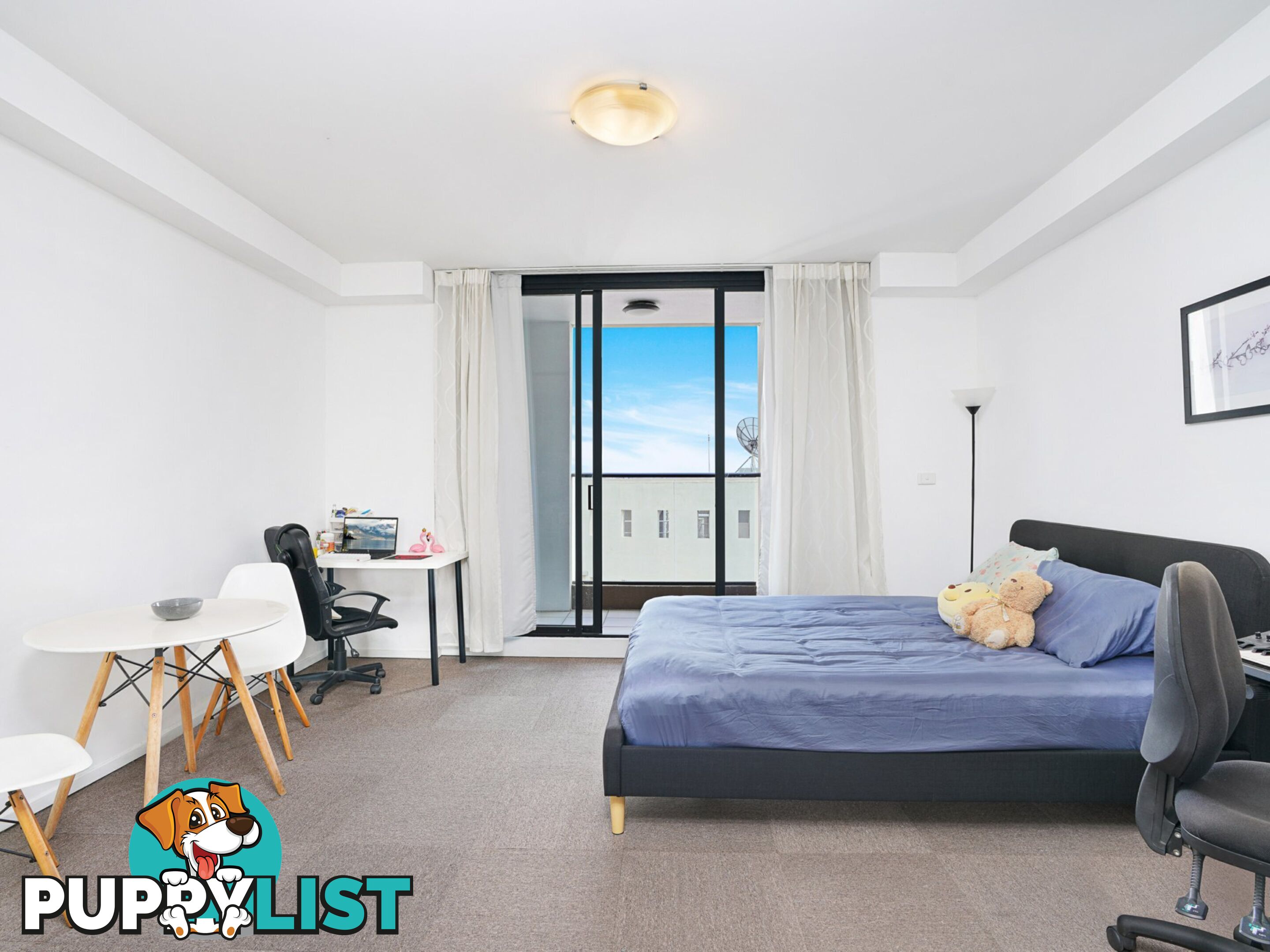 163/8 Dixon Street SYDNEY NSW 2000