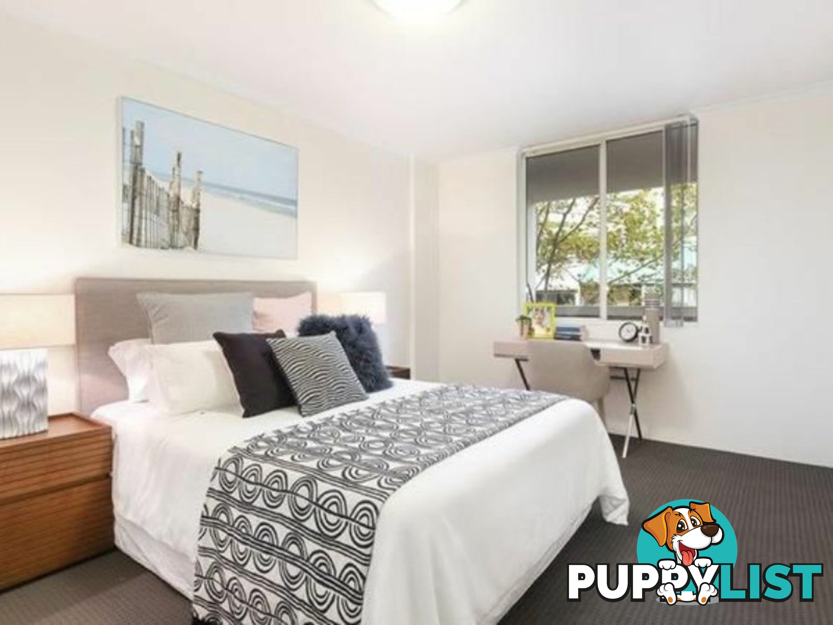 N104/233 Harris Street PYRMONT NSW 2009