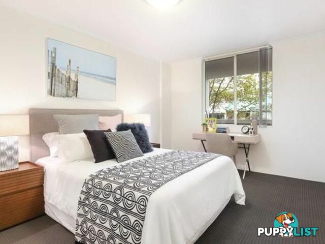 N104/233 Harris Street PYRMONT NSW 2009