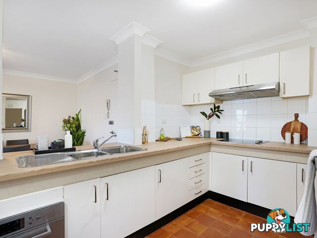 146/267 Bulwara Road ULTIMO NSW 2007