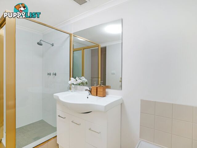 146/267 Bulwara Road ULTIMO NSW 2007