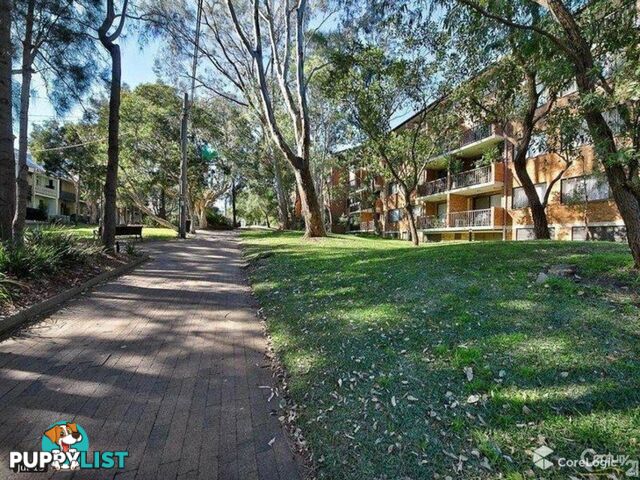 146/267 Bulwara Road ULTIMO NSW 2007