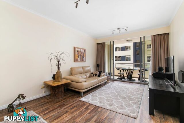 Level 2/50 Murray Street PYRMONT NSW 2009