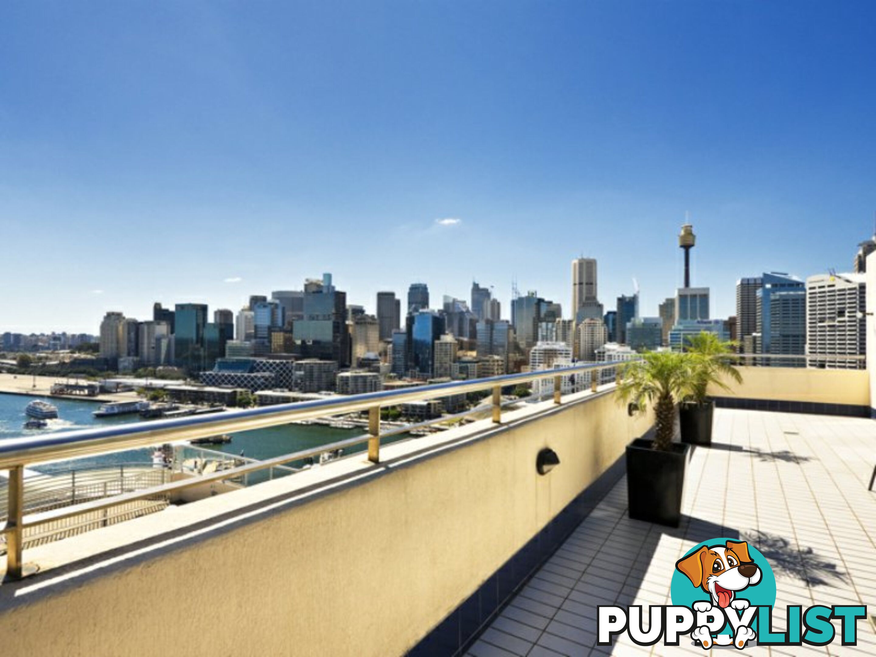 Level 2/50 Murray Street PYRMONT NSW 2009