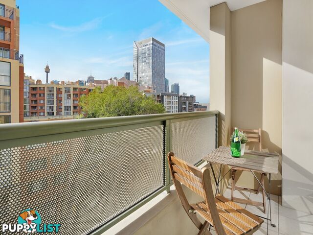 43/149 Pyrmont Street PYRMONT NSW 2009