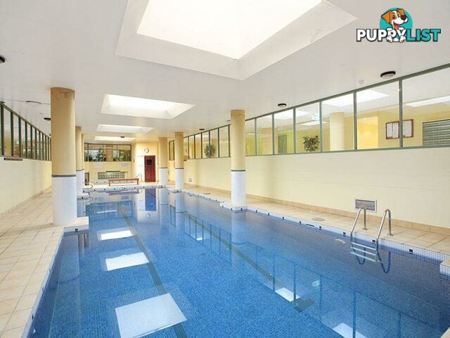 43/149 Pyrmont Street PYRMONT NSW 2009
