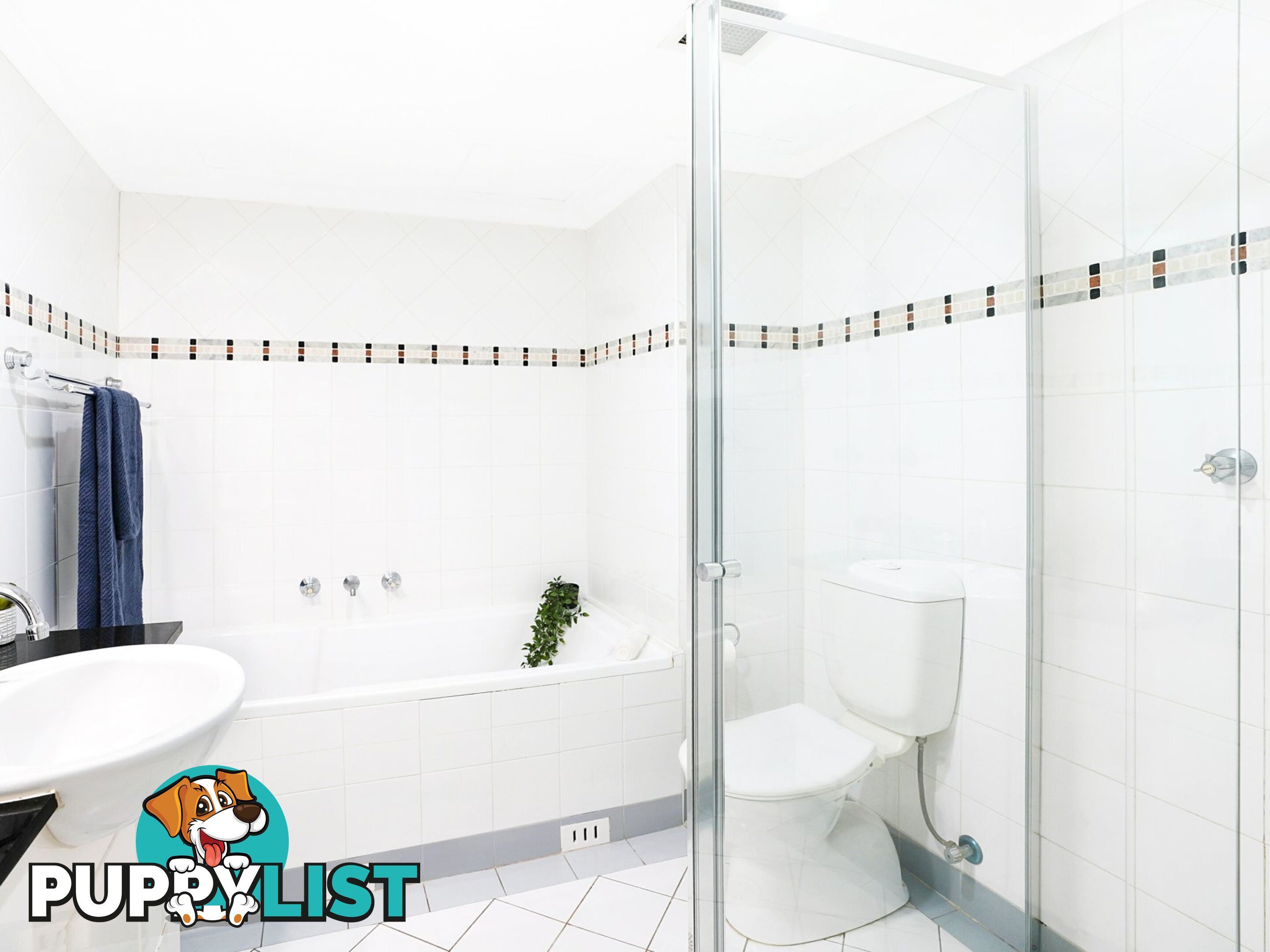 43/149 Pyrmont Street PYRMONT NSW 2009