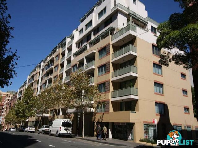 43/149 Pyrmont Street PYRMONT NSW 2009