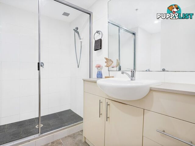 162/8 Dixon Street SYDNEY NSW 2000