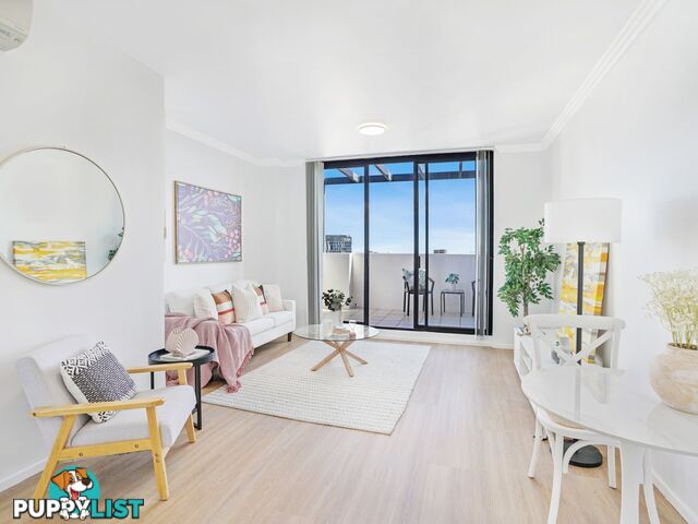 162/8 Dixon Street SYDNEY NSW 2000