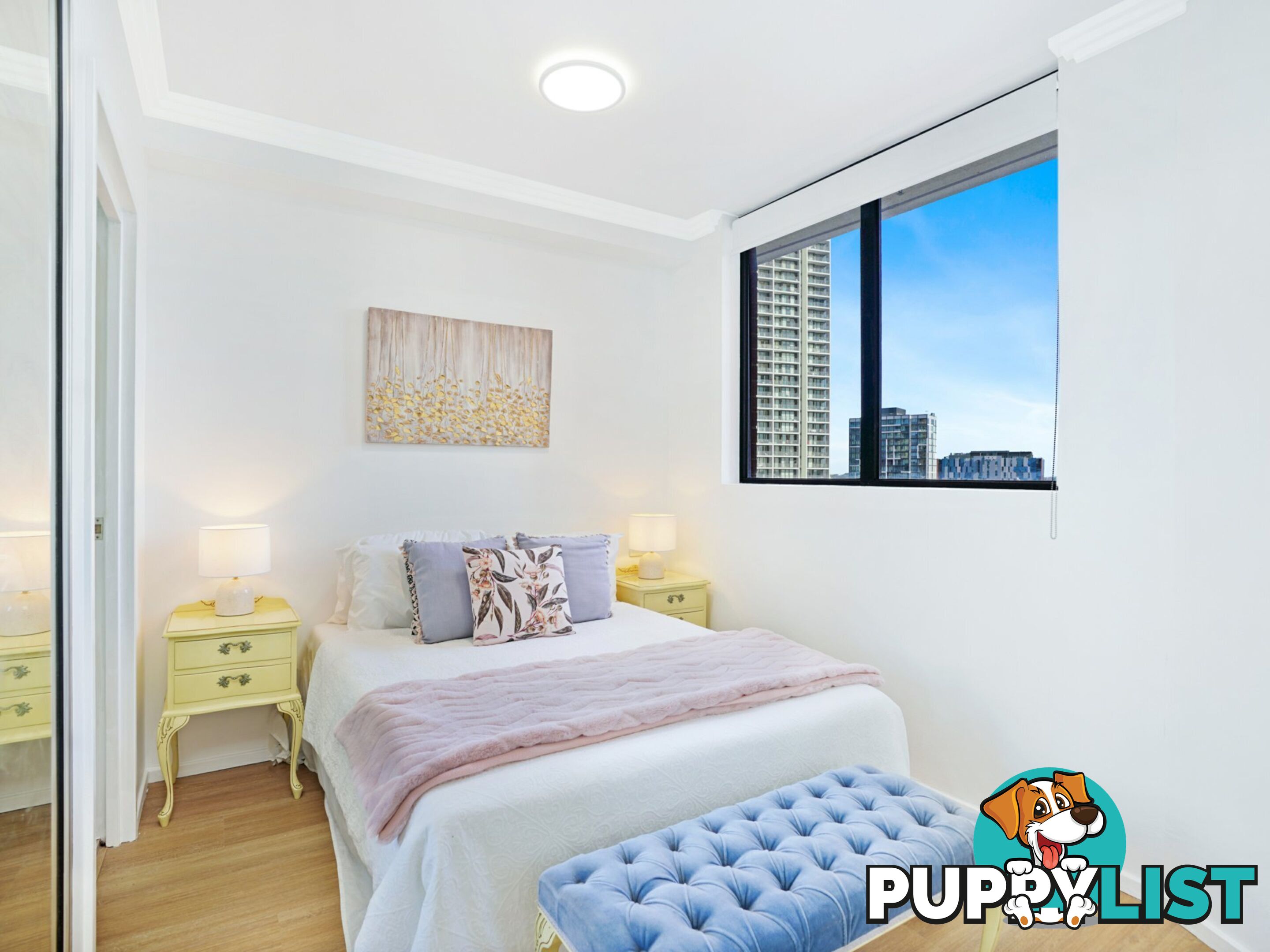 162/8 Dixon Street SYDNEY NSW 2000
