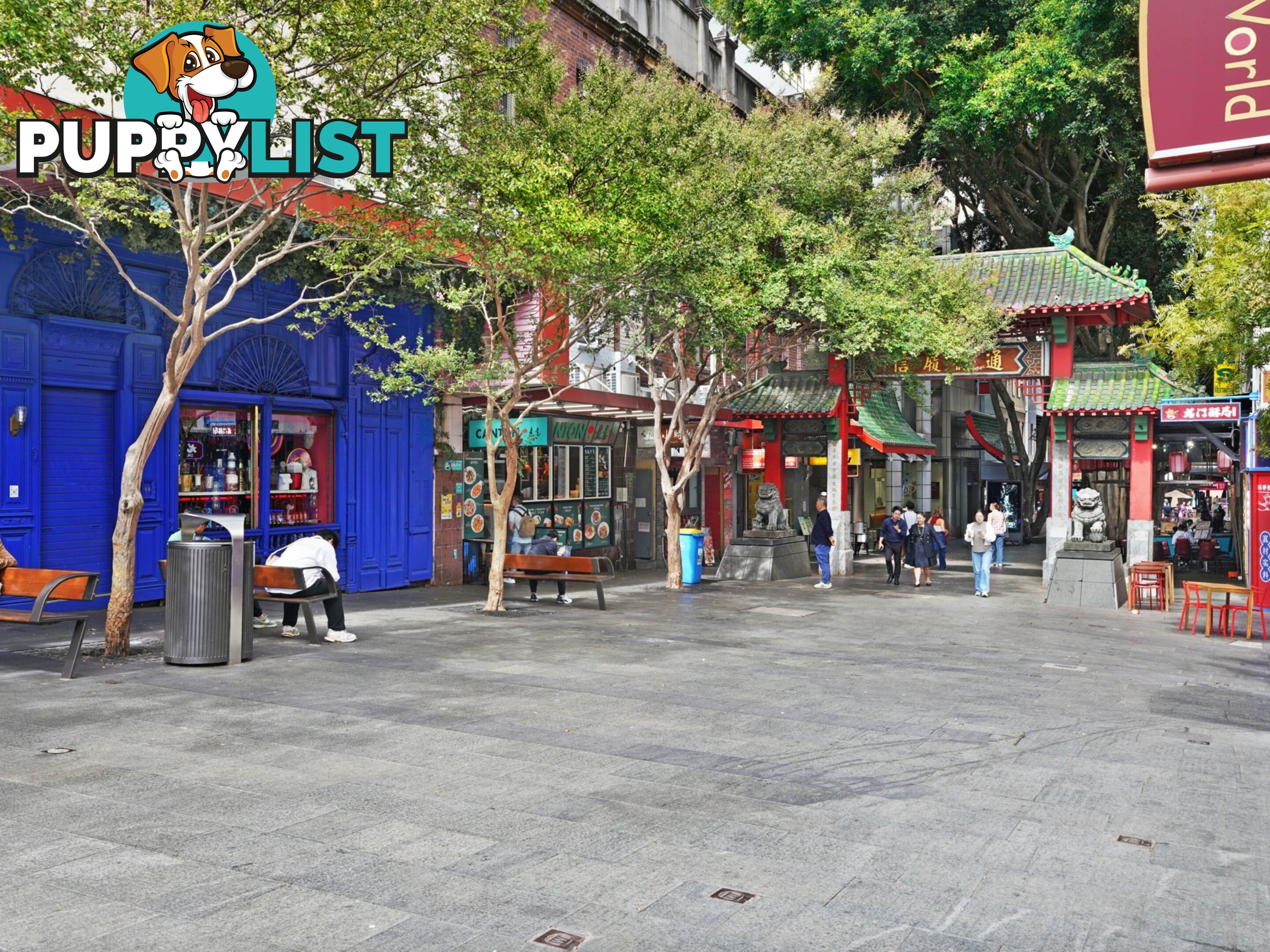162/8 Dixon Street SYDNEY NSW 2000