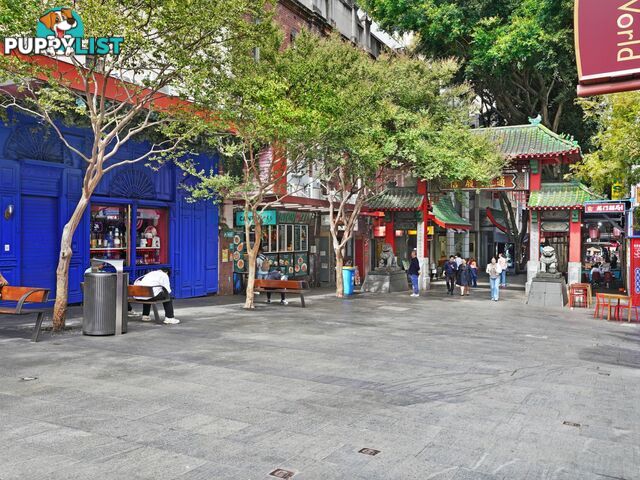 162/8 Dixon Street SYDNEY NSW 2000