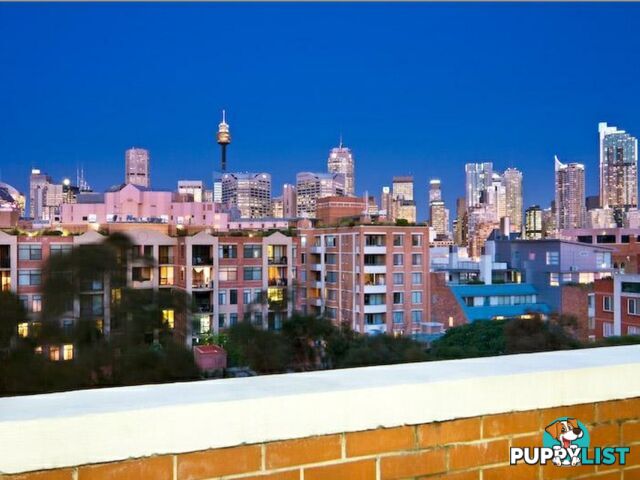 S802/233 Harris Street PYRMONT NSW 2009