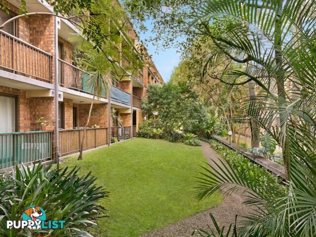 Unit 52/313 Harris St PYRMONT NSW 2009