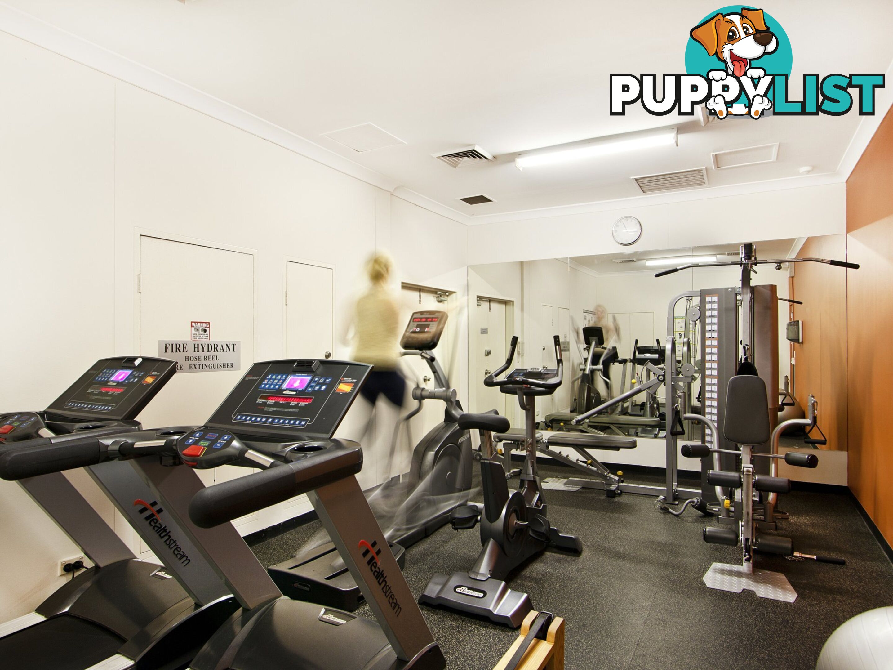 S306/233 Harris Street PYRMONT NSW 2009