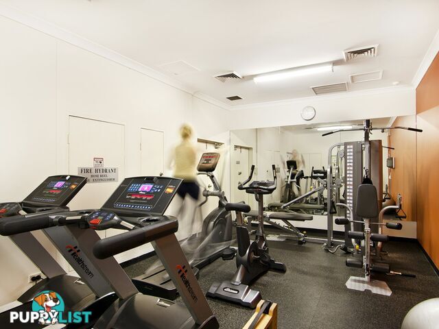 S306/233 Harris Street PYRMONT NSW 2009