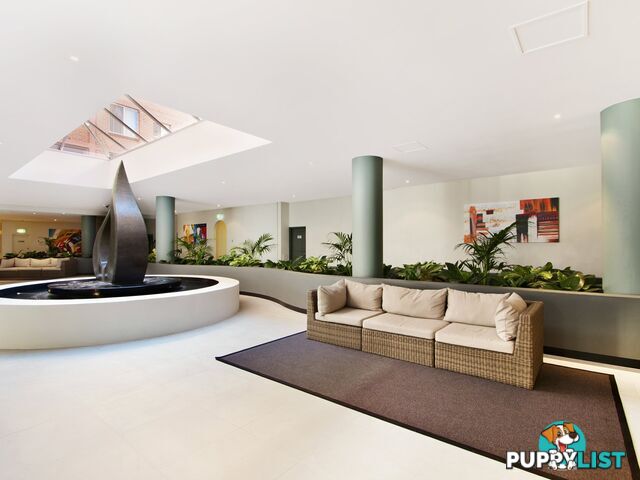 S306/233 Harris Street PYRMONT NSW 2009